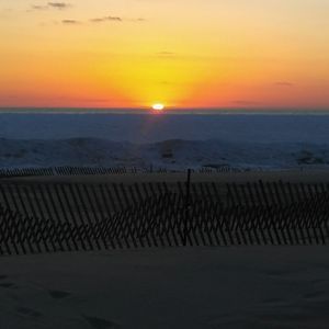 Meet your Posher, Maris